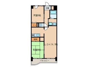 Ｃａｓａ　ＥＬＥＶＡＴＯの物件間取画像